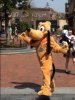 IMG_4957.JPG