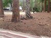 IMG_1206.JPG