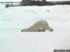 D8CE2E1A-30C3-4441-B1EB-6ECD00A5FEA7.gif