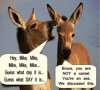 1-donkey-hey-mike-hump-day.jpg
