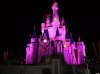 Dsc09318.jpg