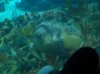 Dsc09410.jpg