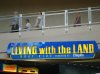Dsc09431.jpg