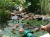 Dsc09442.jpg