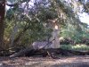 100_0121 (1024x768) (2).jpg