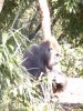 100_0128 (768x1024) (2).jpg
