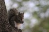 IMG_2496a.jpg