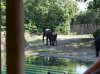 Dsc09579.jpg