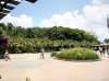 Dsc09644.jpg