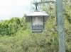 Dsc09645.jpg