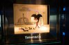 DisneyFantasy-2-10-18-27.jpg