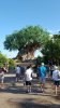 20160906_085824.jpg