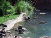DSCF0064.JPG