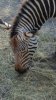 20160907_164135.jpg