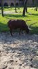 20160907_164440.jpg