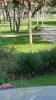 20160907_165822.jpg