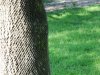 DSCF0136.JPG