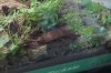 DSC00209.JPG