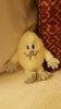 20160908_213256.jpg
