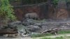 20160908_190356.jpg