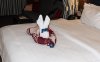 towel animal.jpeg