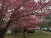F92DC9FC-6EED-4918-83CD-9713F05363E4.jpeg