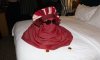 towel animal.jpg