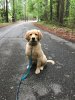 barkley 6.jpg