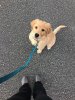 barkley 9.jpg