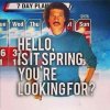 spring.jpg