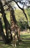 2B38E810-FEEA-410D-8732-699FA962A8FE.jpeg