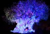 Tree of Life night copy.jpg