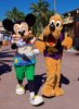castaway cay.jpg