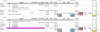 Screen Shot 2018-04-22 at 5.10.27 PM.png
