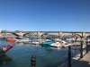 IMG_4684.jpg