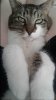 20180415_152748.jpg