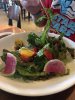 IMG_4665.jpeg