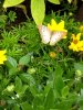 upload_2018-4-27_7-40-24.jpeg
