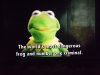 Muppets 3D Kermit.jpg