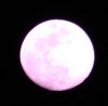 moon.JPG