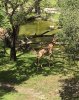 467CA133-E97A-4206-9E8C-839F57E05165.jpeg