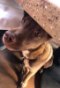 upload_2018-5-2_16-34-57.png