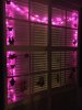 Window decorations2.jpg