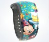 Screenshot_20180504-163152_Shop Disney Parks.jpg