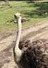 B127B287-EB9B-49E8-A3BD-955DDF26F275.jpeg