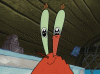 image.gif