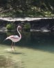 4AC8B60B-9D23-4413-B3D1-4B745524F705.jpeg