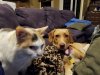 20171024_185530.jpg