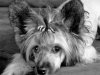 DSCF6125.jpg