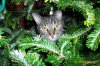 2013 winter and more 003.JPG